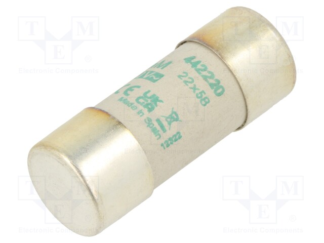 Fuse: fuse; aM; 20A; 690VAC; ceramic,cylindrical,industrial