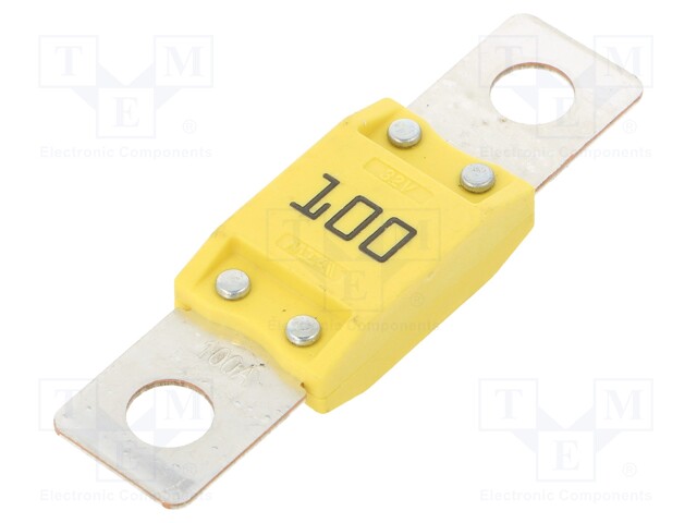 Fuse: fuse; 100A; 32V; automotive