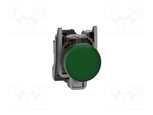 LED Panel Mount Indicator, 250 VAC, 22 mm, IP66, NEMA 4X, NEMA 13