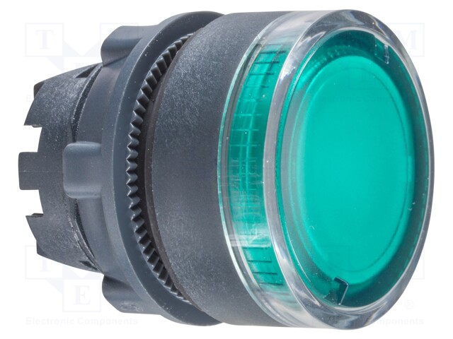 Switch Actuator, XB5 Series Momentary Illuminated Pushbutton Switches, IP65, Harmony Series