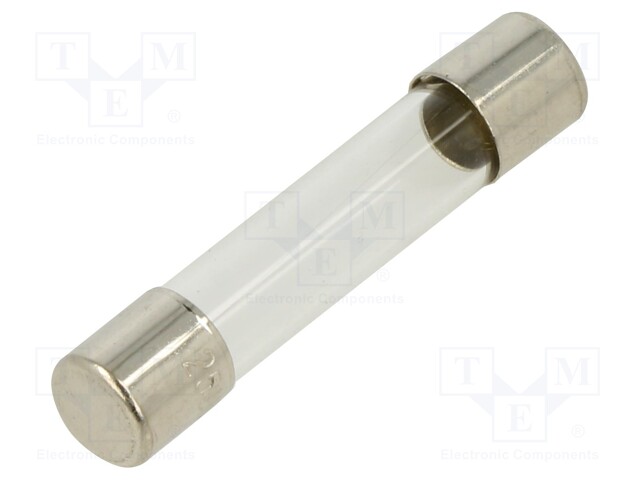 Fuse: fuse; 100mA; 250VAC; glass; 6.35x31.8mm; brass; bulk