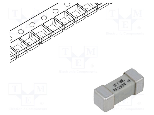 Fuse: fuse; quick blow; 1A; 250VAC; SMD; ceramic; 464