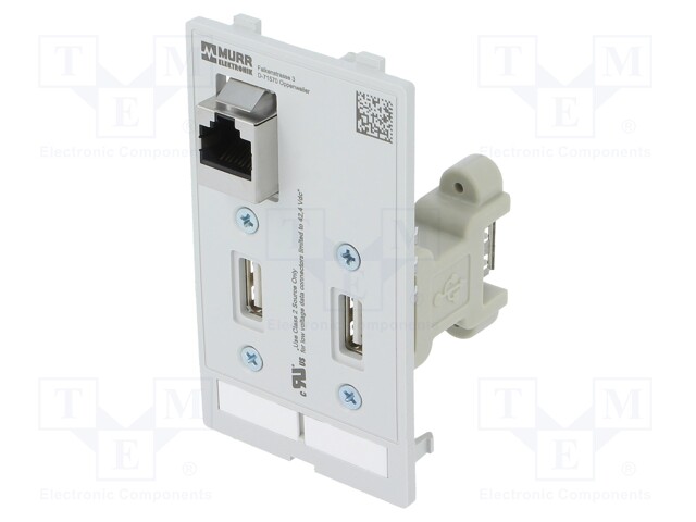 Insert; MODLINK MSDD; RJ45 socket,USB A socket x2