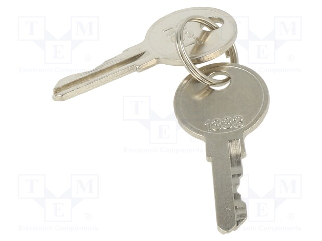 Key; Key code: 1333; 2pcs.