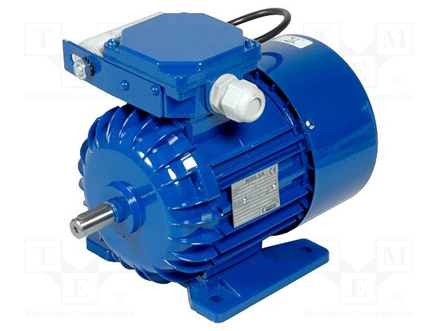 Motor: AC; 1-phase; 250W; 230VAC; 1340rpm; 1.78Nm; 6.3kg; IP54; 2.5A