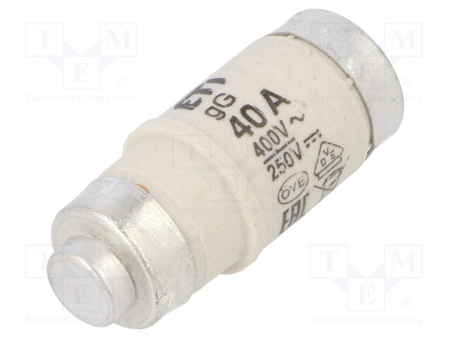 Fuse: fuse; gG; 40A; 400VAC; 250VDC; ceramic; D02; D0