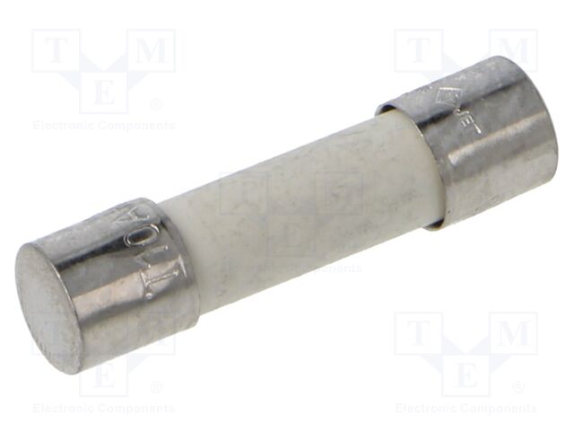 Fuse: fuse; time-lag; 10A; 250VAC; ceramic,cylindrical; 5x20mm