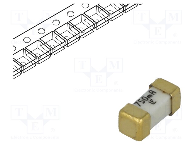 Fuse: fuse; ultra rapid; 750mA; 125V; SMD; ceramic; Case: 2410; 448