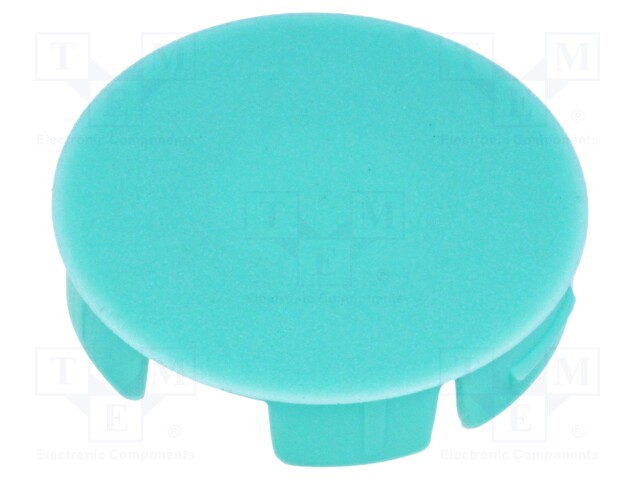Cap; polyamide; aquamarine; push-in; Application: A3031,A3131