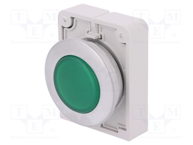 Control lamp; 30mm; RMQ-Titan; -25÷70°C; Illumin: M22-LED; Ø30.5mm