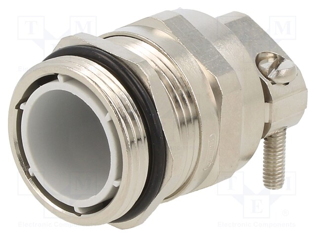 Cable gland