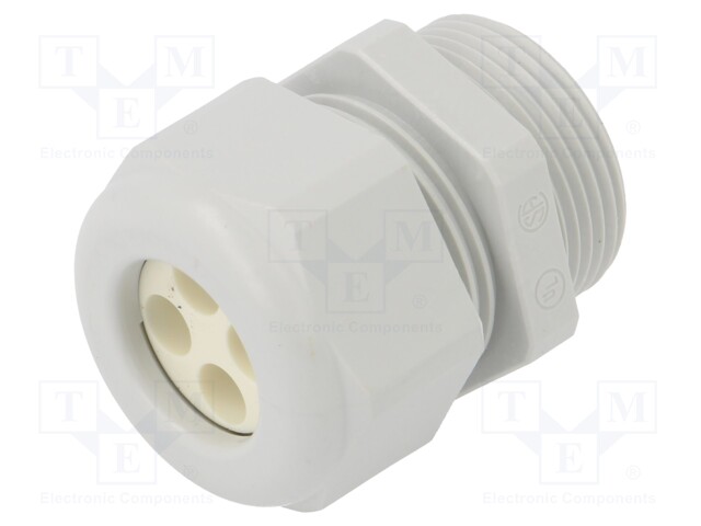 Cable gland