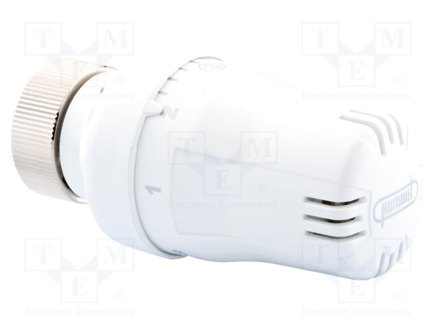 Thermostatic head