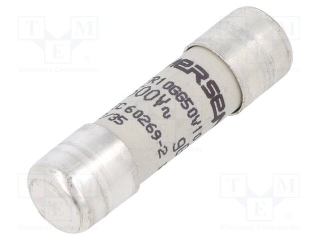 Fuse: fuse; gG,time-lag; 10A; 500VAC; 250VDC; 10x38mm