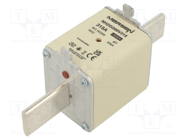 Fuse: fuse; gG; 315A; 690VAC; 250VDC; ceramic,industrial; NH2