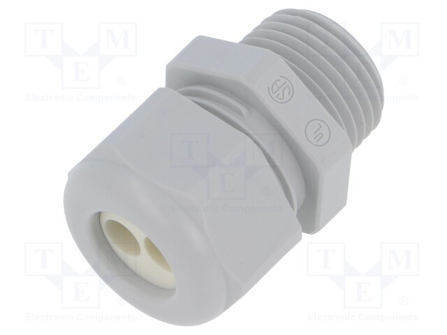 Cable gland