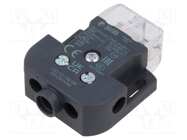 Safety switch: key operated; Series: DS; Contacts: NC; IP20