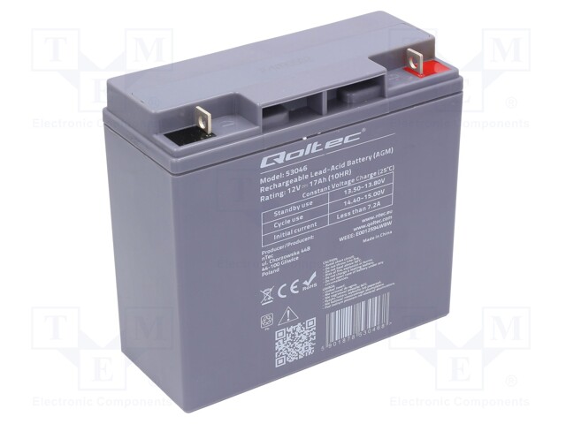 Re-battery: acid-lead; 12V; 17Ah; AGM; maintenance-free