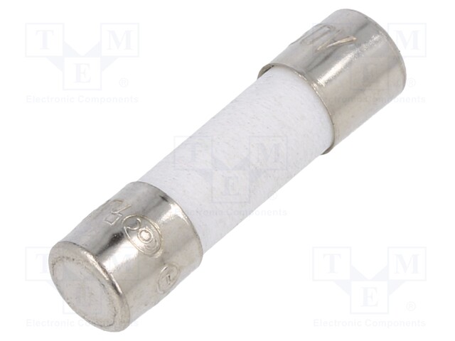 Fuse: fuse; 10A; 250VAC; ceramic; 20x5mm; brass; bulk; nickel plated