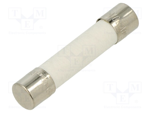 Fuse: fuse; 10A; 250VAC; ceramic; 6.3x32mm; brass; nickel plated