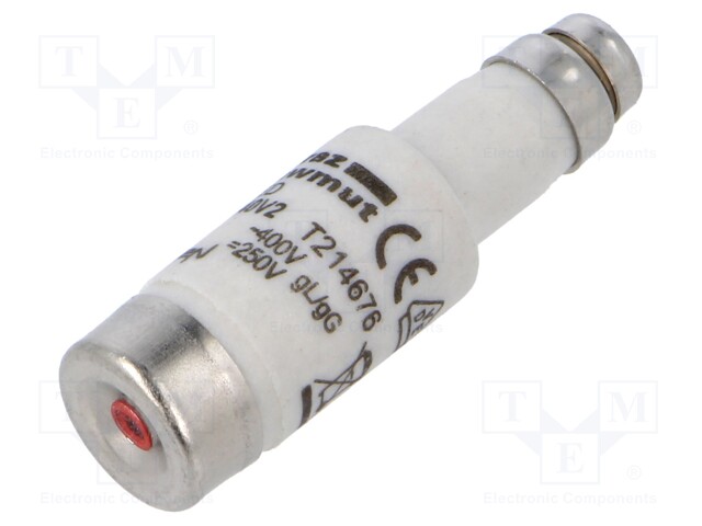 Fuse: fuse; gG; 2A; 400VAC; 250VDC; industrial; D01