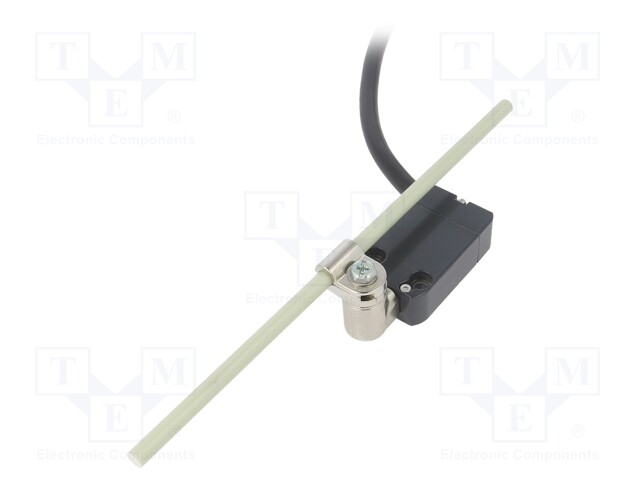 Limit switch; glass fibre rod Ø6x200mm R 19-189mm; NO + NC; 10A