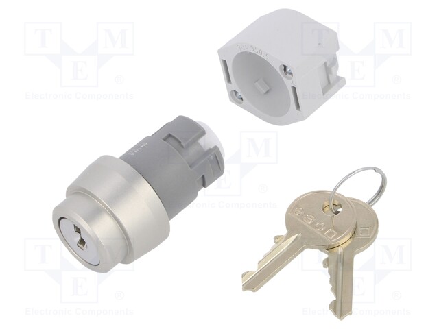 Switch: rotary with key; Stabl.pos: 2; 22mm; silver; Illumin: none