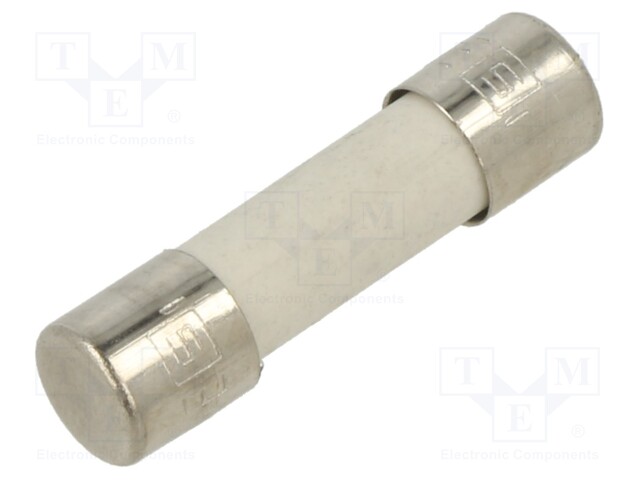 Fuse: fuse; medium time-lag; 5A; 250VAC; ceramic,cylindrical; FSM