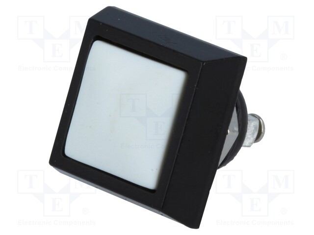 Switch: vandal resistant; Pos: 2; SPST-NO; 2A/36VDC; IP65; OFF-(ON)