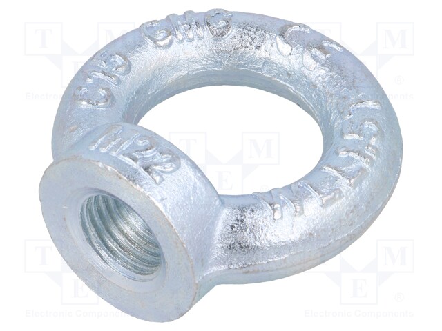 Lifting eye nut; eye; M22; steel; Plating: zinc; DIN: 582; 50mm