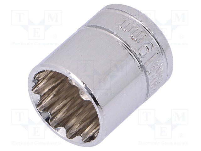 Key; twelve point socket; 19mm; 3/8"; Chrom-vanadium steel