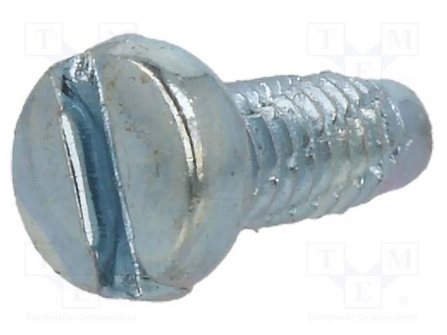 Screw; for metal; 2,5x6; Head: cheese head; slotted; zinc; BN: 1013