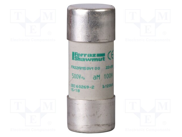 Fuse: fuse; aM; 40A; 690VAC; ceramic; 22x58mm