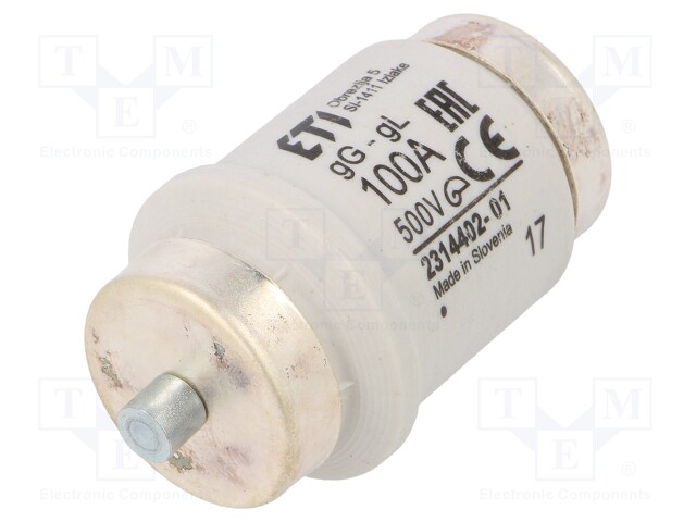 Fuse: fuse; gG; 100A; 500VAC; 500VDC; ceramic; DIV; D