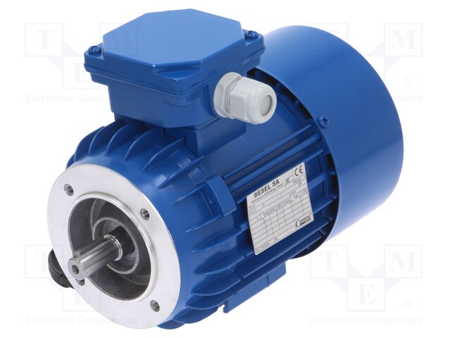 Motor: AC; 3-phase; 0.25kW; 230/400VAC; 1390rpm; 5.5kg; IP54