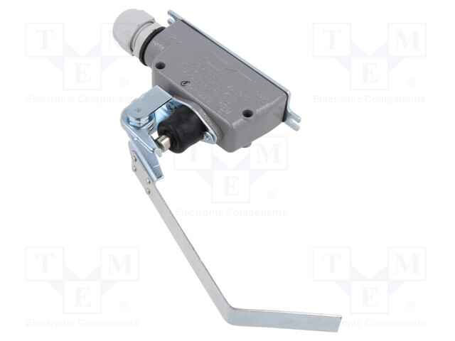 Limit switch; flat lever; SPDT; 6A; max.400VAC; max.220VDC; IP56