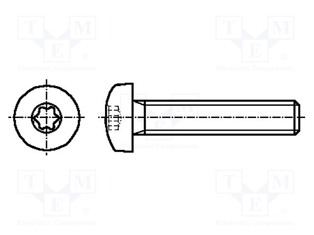 Screw; M4x10; Head: button; Torx®; A2 stainless steel; TX20