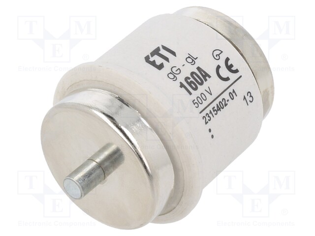 Fuse: fuse; gG; 160A; 500VAC; 500VDC; ceramic; DV; D