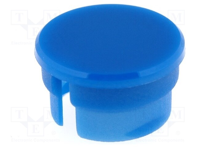 Cap; polyamide; blue; 15mm; -20÷70°C; Application: G15