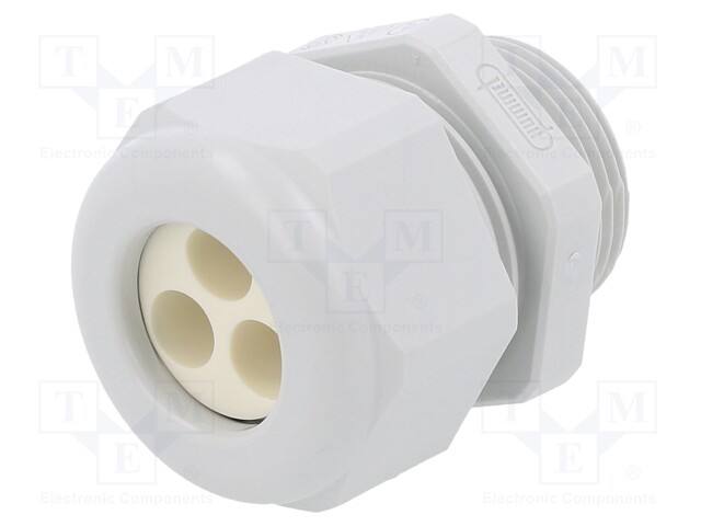 Cable gland