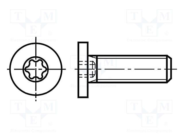 Screw; M5x6; Head: cheese head; Torx®; steel; zinc; TX15