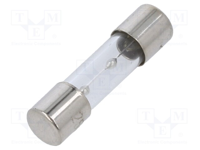 Fuse: fuse; time-lag; 10A; 250VAC; glass; 20x5.2mm; brass; bulk