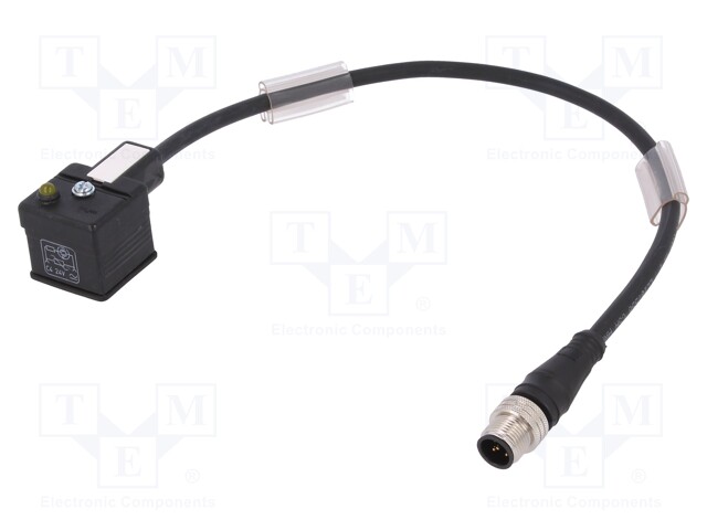 Adapter cable; M12 male,DIN 43650 plug; PIN: 3; IP67; 0.3m; 3A