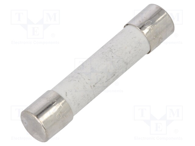 Fuse: fuse; time-lag; 30A; 250VAC; ceramic,cylindrical; bronze