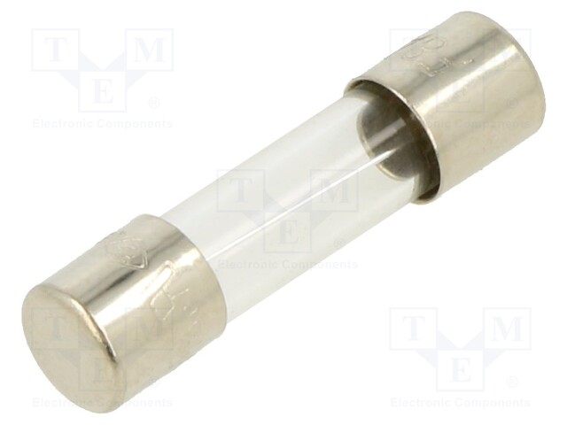 Fuse: fuse; 8A; 250VAC; glass; 20x5.2mm; brass; bulk; nickel plated