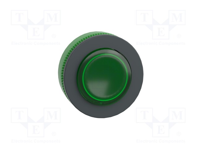 Switch: push-button; Stabl.pos: 1; 30mm; green; IP66; witout symbol