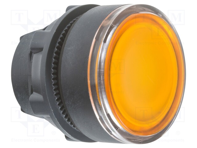 Switch Actuator, XB5 Series Momentary Illuminated Pushbutton Switches, IP65, Harmony Series