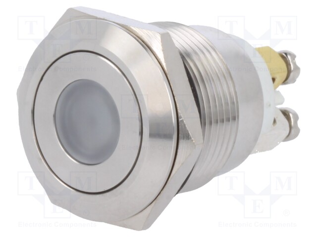 Switch: vandal resistant; Pos: 2; SPST-NO; 0.5A/220VAC; 2A/36VDC