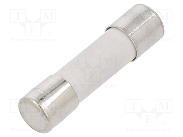 Fuse: fuse; time-lag; 10A; 250VAC; ceramic,cylindrical; 5x20mm