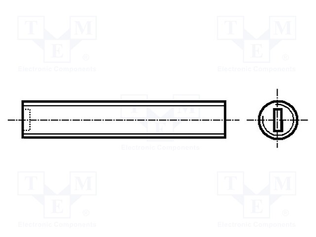 Screw; M5x8; DIN: 551; Head: without head; slotted; polyamide; 0,8mm